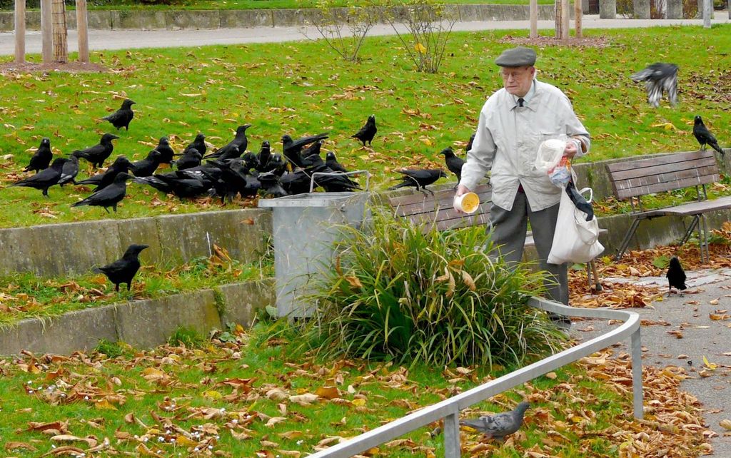 Aktuelle Nachrichten Jagd
